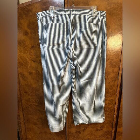 Madewell Blue Striped Pants - - Picture 7 of 7